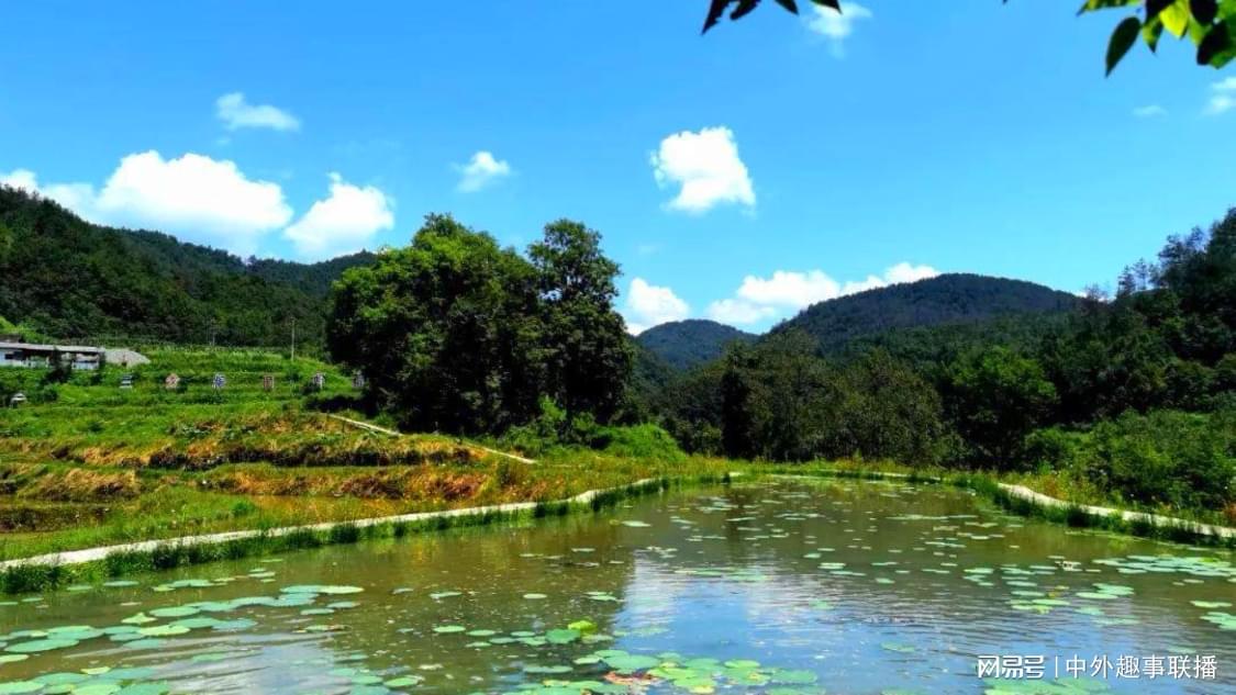 dy点赞自助平台便宜